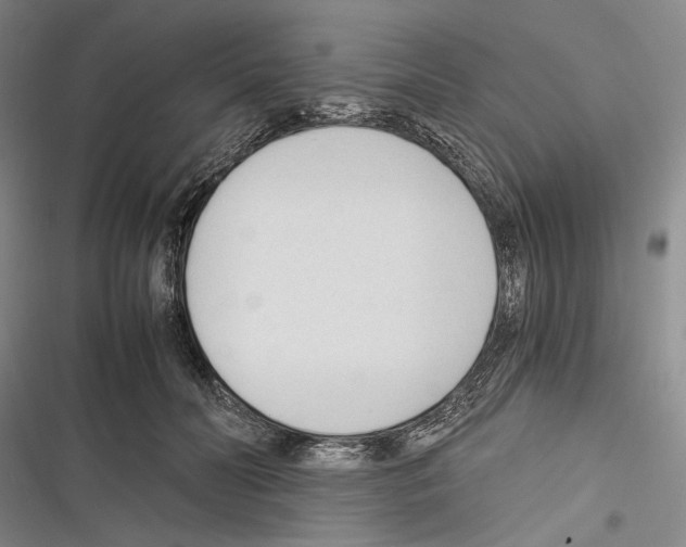 X0000116320606201001131005