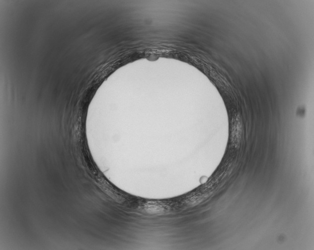 X0000116320608201001131005