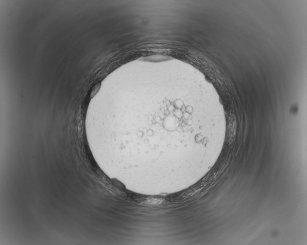 X0000116320609201001131005