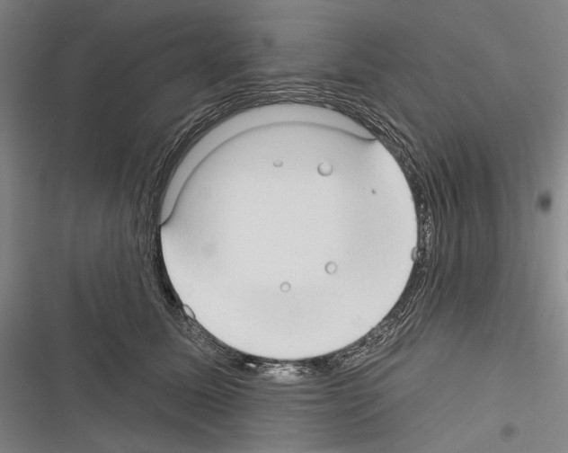 X0000116320611201001131005