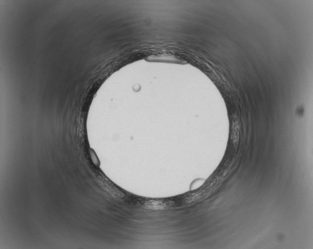 X0000116320613201001131005