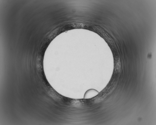 X0000116320616201001131005