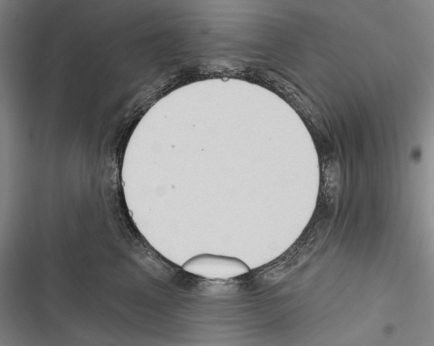 X0000116320617201001131005