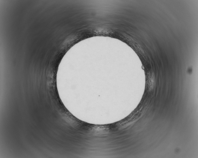 X0000116320619201001131005