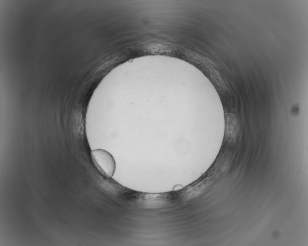 X0000116320622201001131005