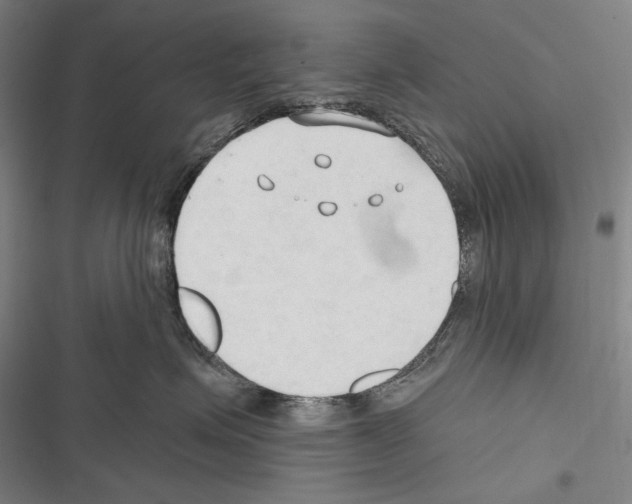 X0000116320623201001131005