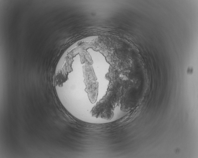 X0000116320624201001131005