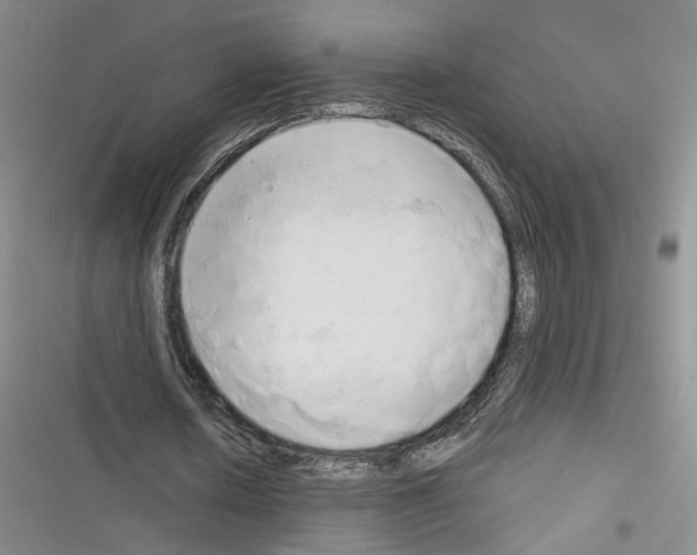 X0000116320626201001131004