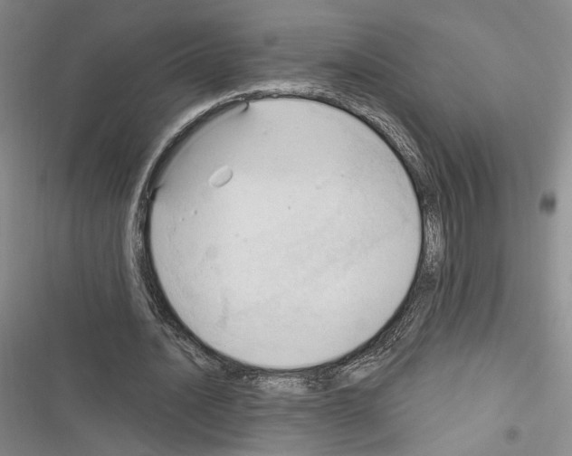 X0000116320628201001131004