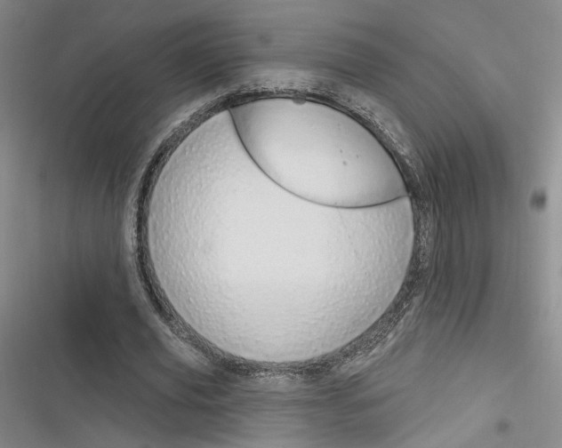 X0000116320629201001131004