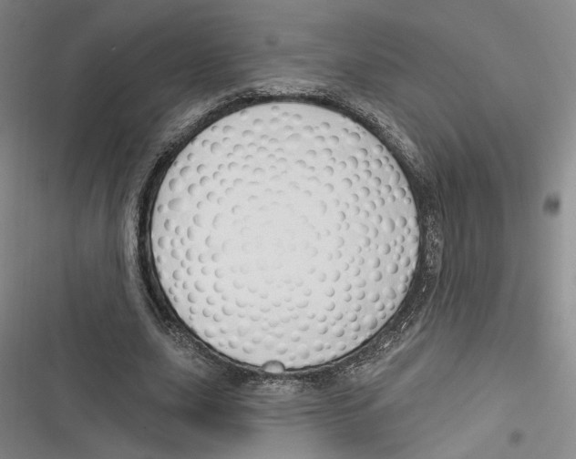 X0000116320631201001131004