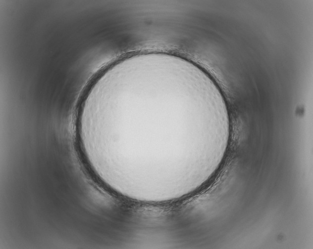 X0000116320632201001131004