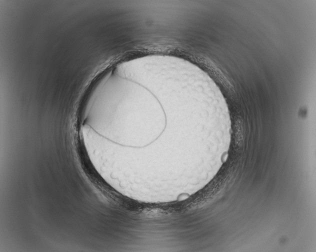 X0000116320634201001131004