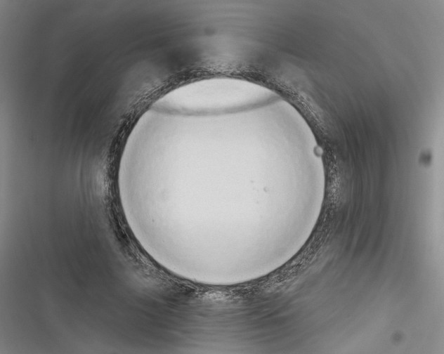 X0000116320635201001131004