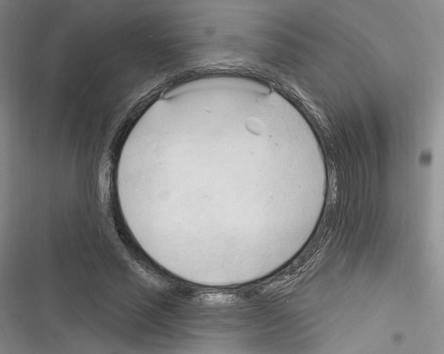 X0000116320637201001131004