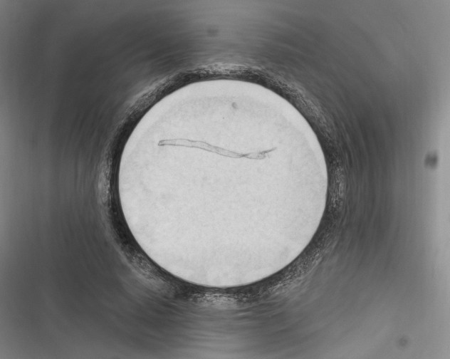 X0000116320640201001131004