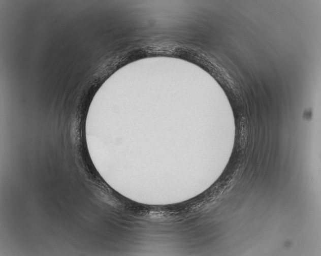 X0000116320641201001131004