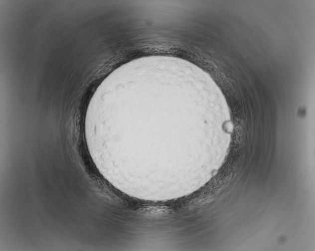 X0000116320642201001131004