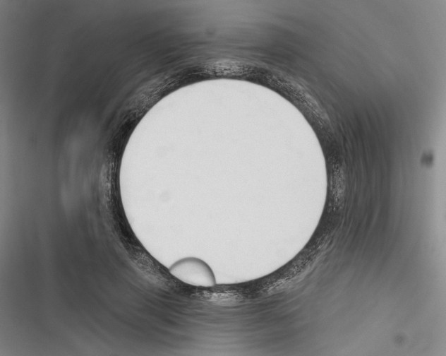 X0000116320645201001131004