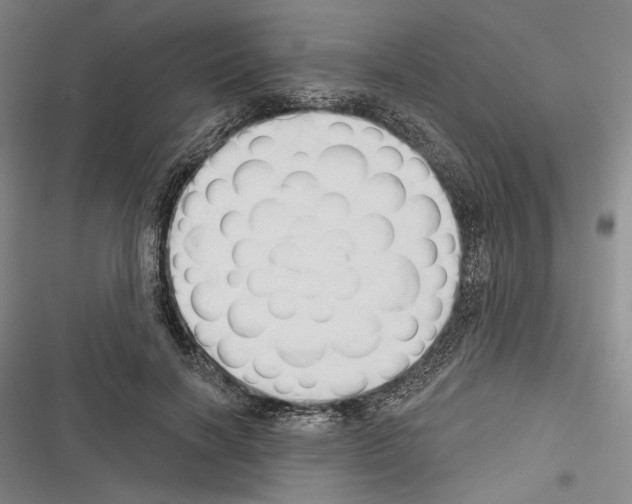 X0000116320646201001131004