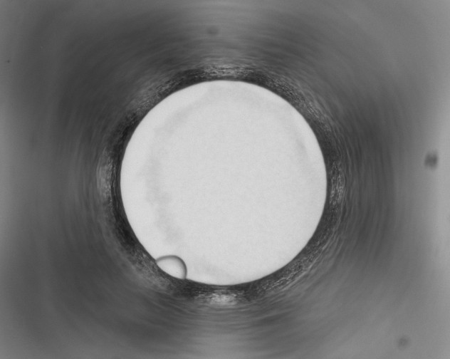 X0000116320647201001131004