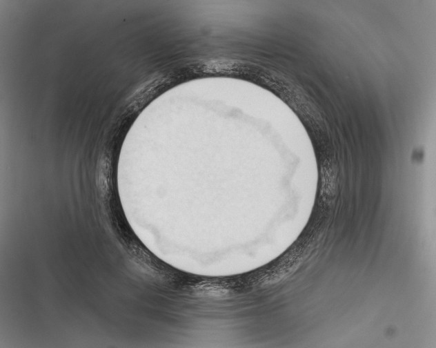 X0000116320648201001131004