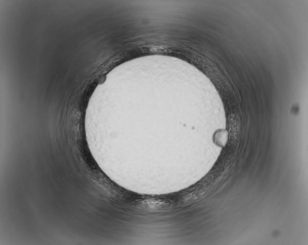 X0000116320650201001131004