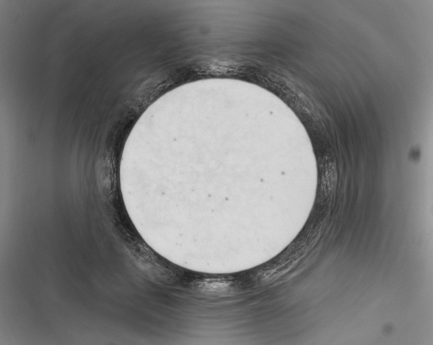 X0000116320651201001131004