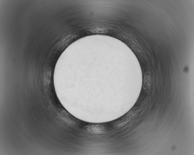 X0000116320652201001131004