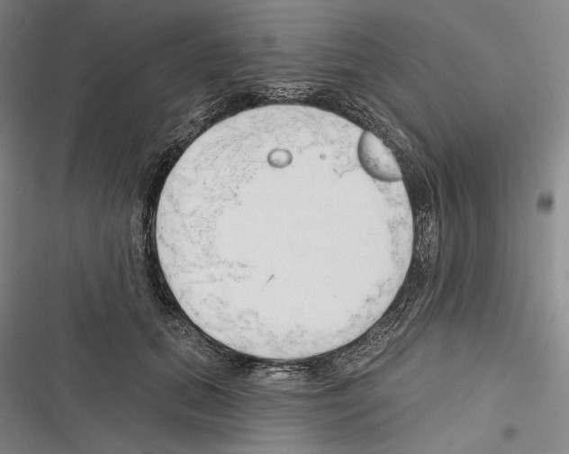 X0000116320655201001131004