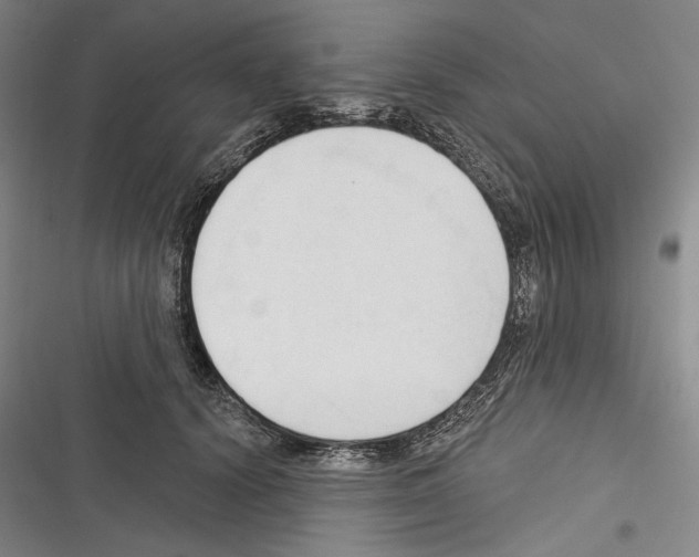 X0000116320656201001131004