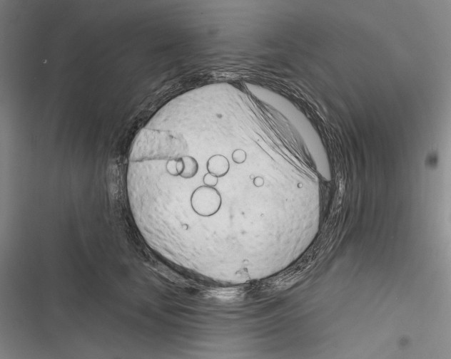 X0000116320659201001131004