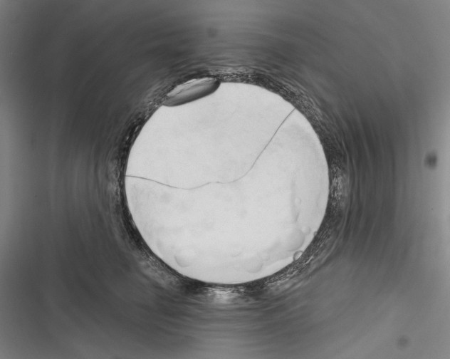 X0000116320662201001131004