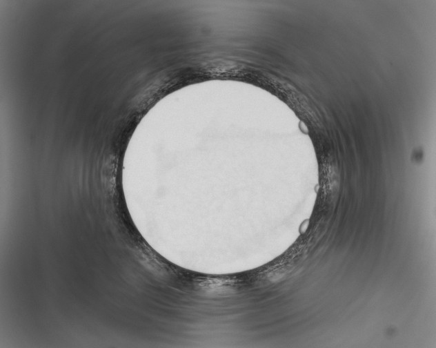 X0000116320664201001131004