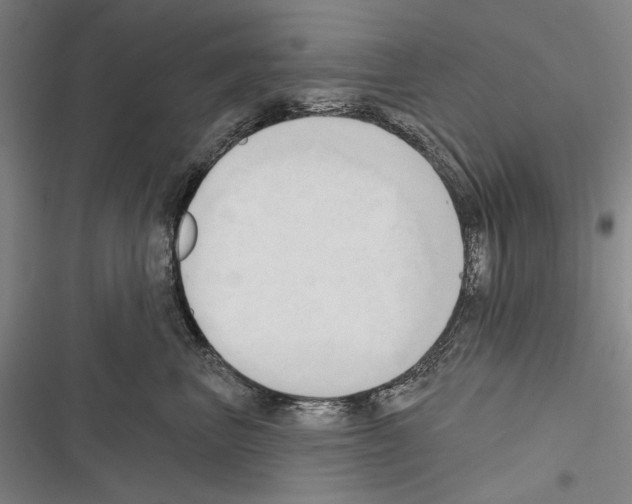 X0000116320667201001131004