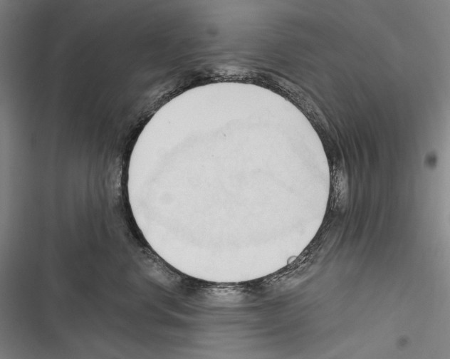 X0000116320668201001131004