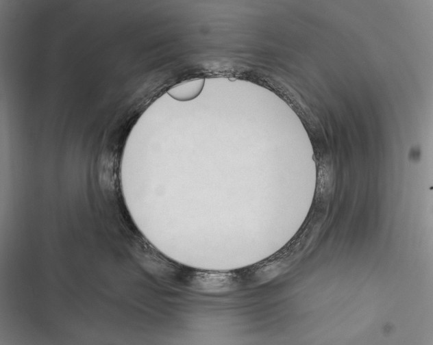 X0000116320671201001131005