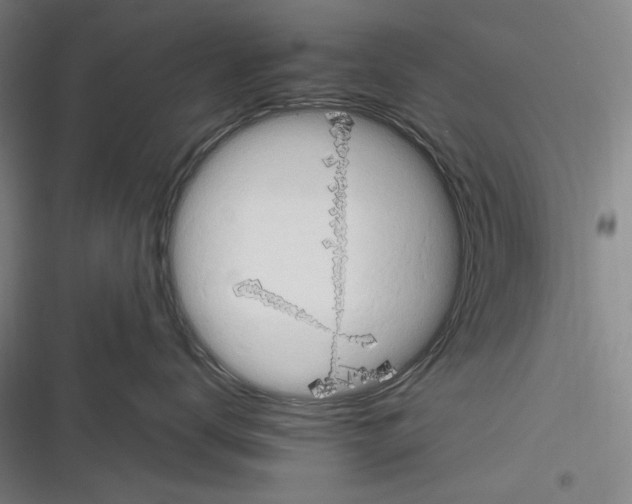 X0000116320672201001131005