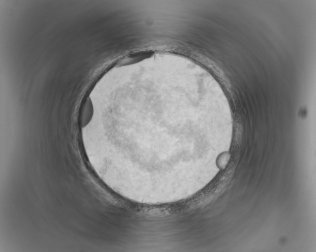 X0000116320673201001131004