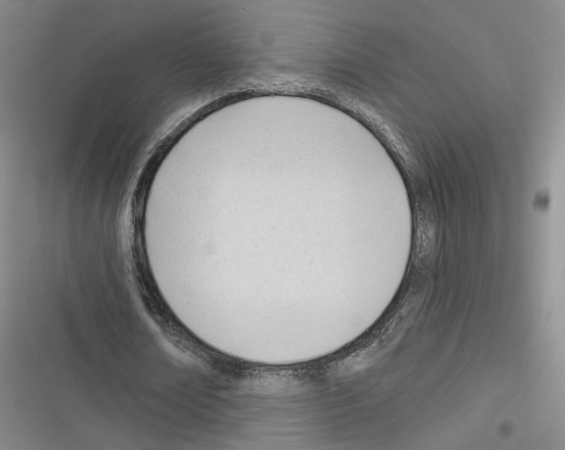 X0000116320674201001131004