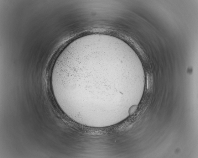 X0000116320675201001131004