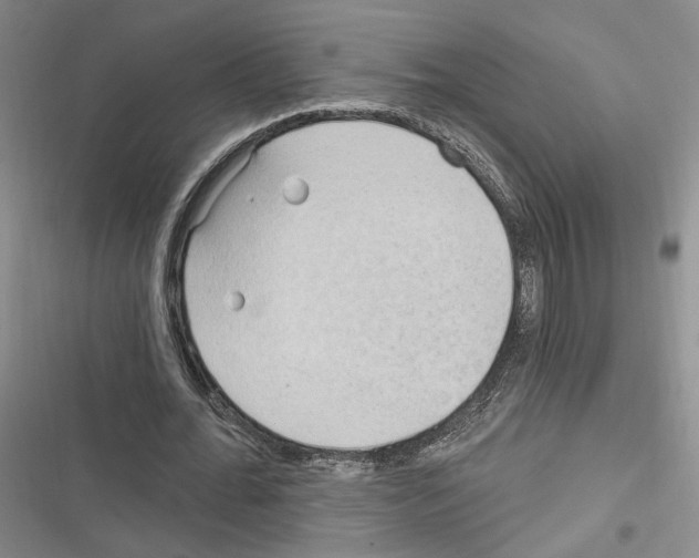 X0000116320676201001131004