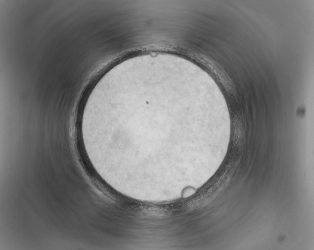 X0000116320677201001131004