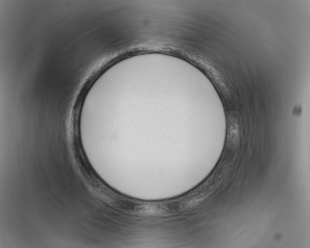 X0000116320678201001131004