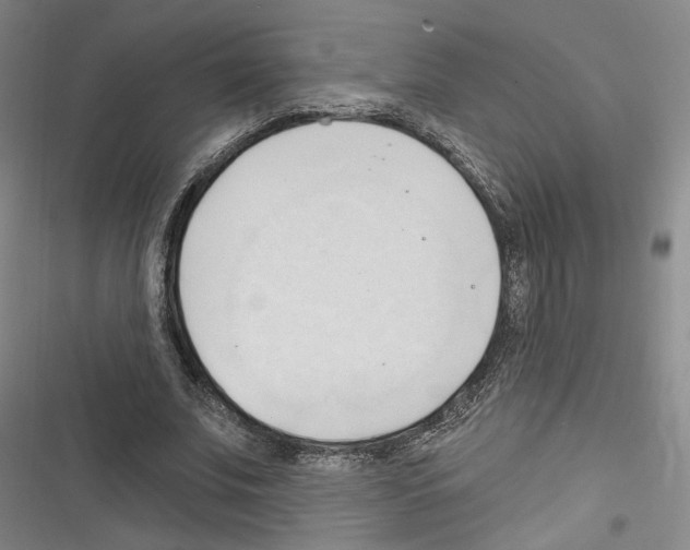 X0000116320679201001131004