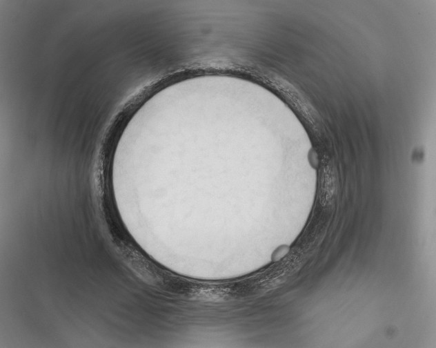 X0000116320680201001131004