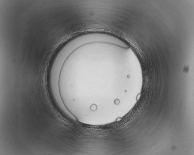 X0000116320681201001131004