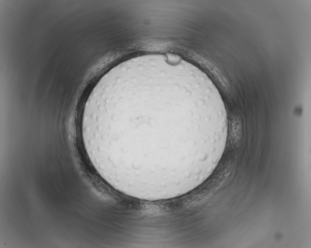 X0000116320682201001131004