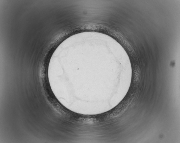 X0000116320683201001131004