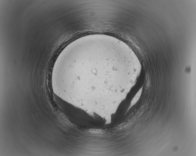 X0000116320685201001131004